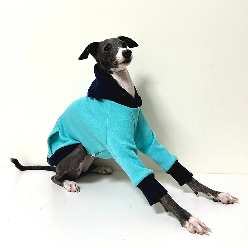 Velvet Warm Italian Greyhound Hoodie