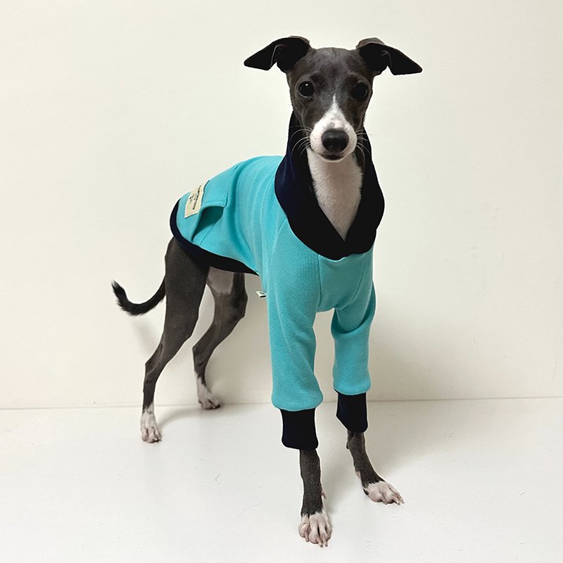 Velvet Warm Italian Greyhound Hoodie