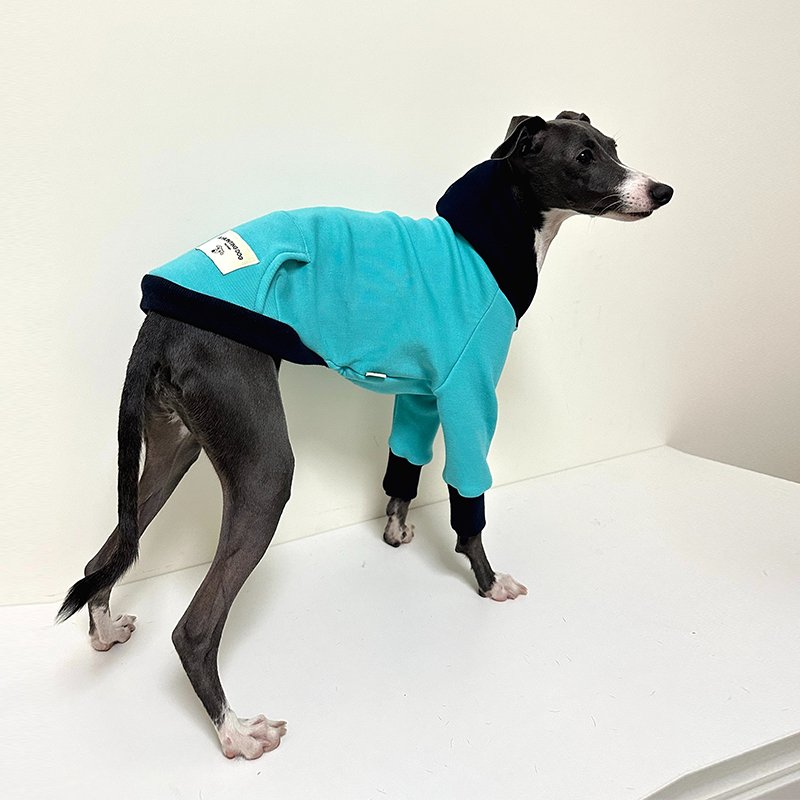 Velvet Warm Italian Greyhound Hoodie