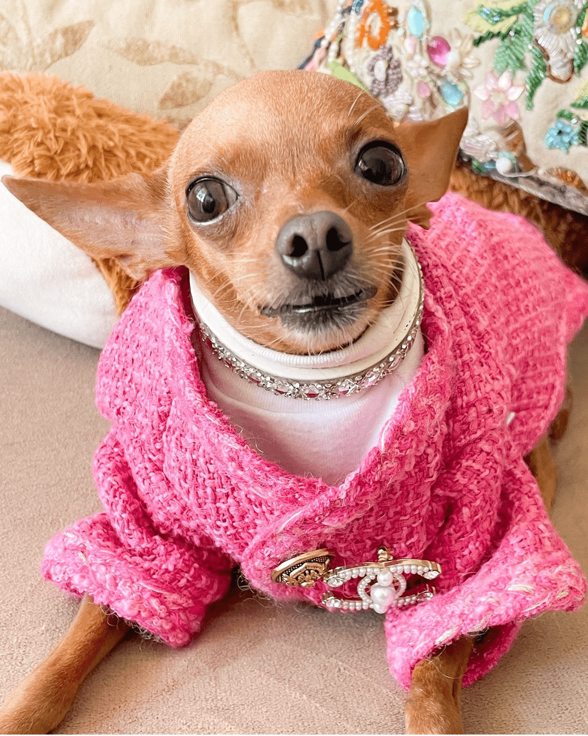 Warm Tweed Chihuahua Winter Jacket