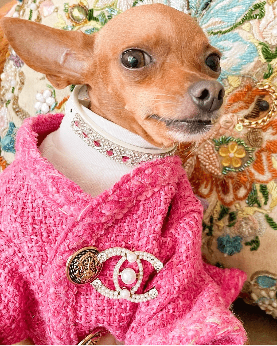 Warm Tweed Chihuahua Winter Jacket