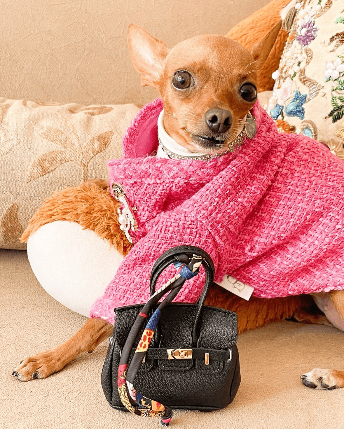 Warm Tweed Chihuahua Winter Jacket