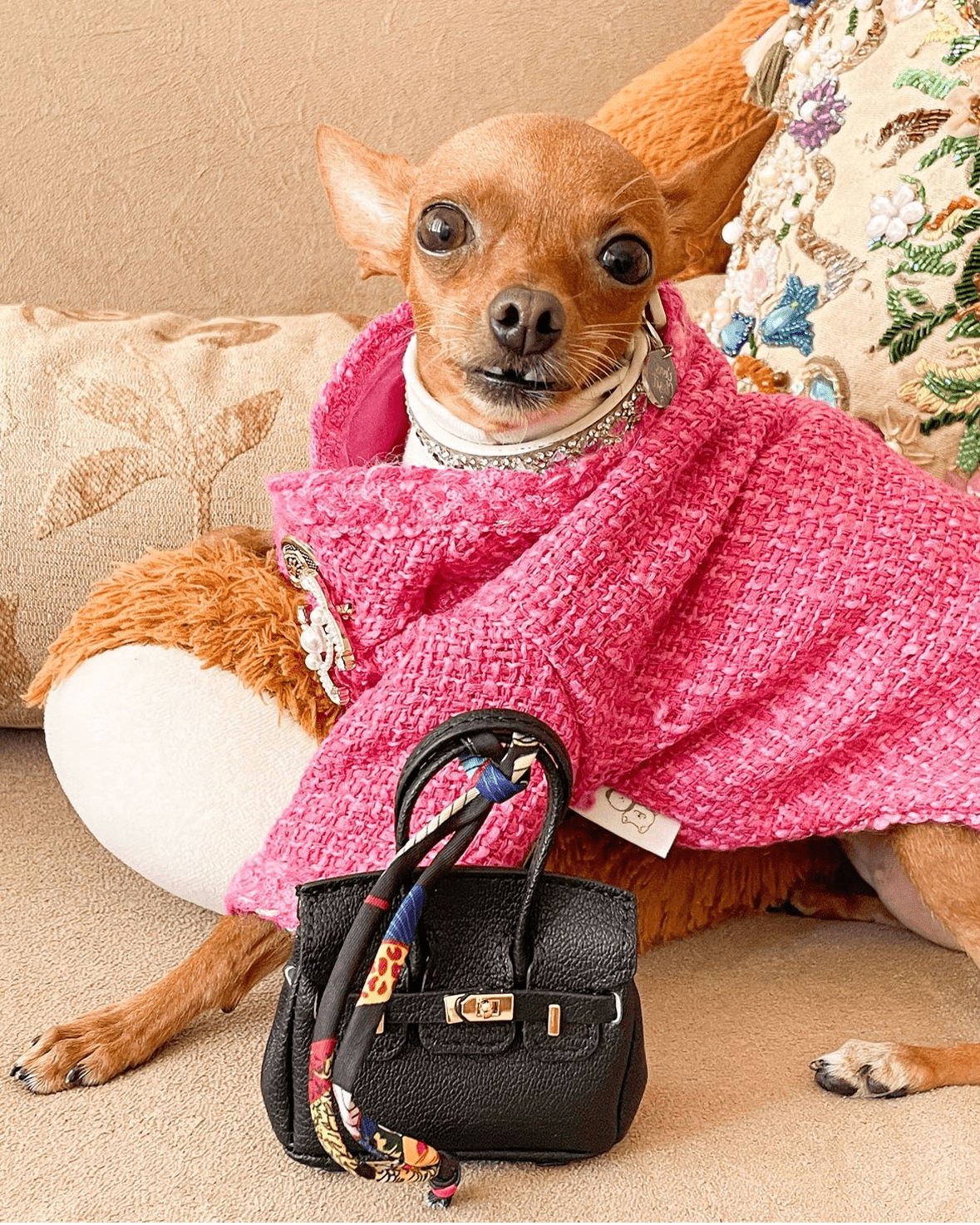 Warm Tweed Chihuahua Winter Jacket