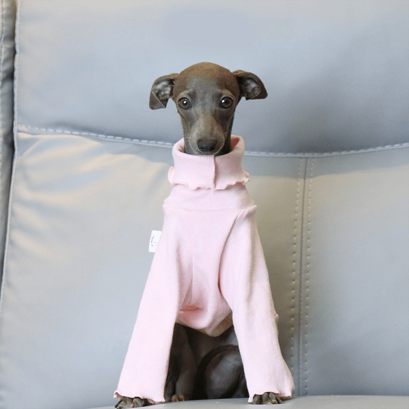 Warm Italian Greyhound Underlayer Shirts