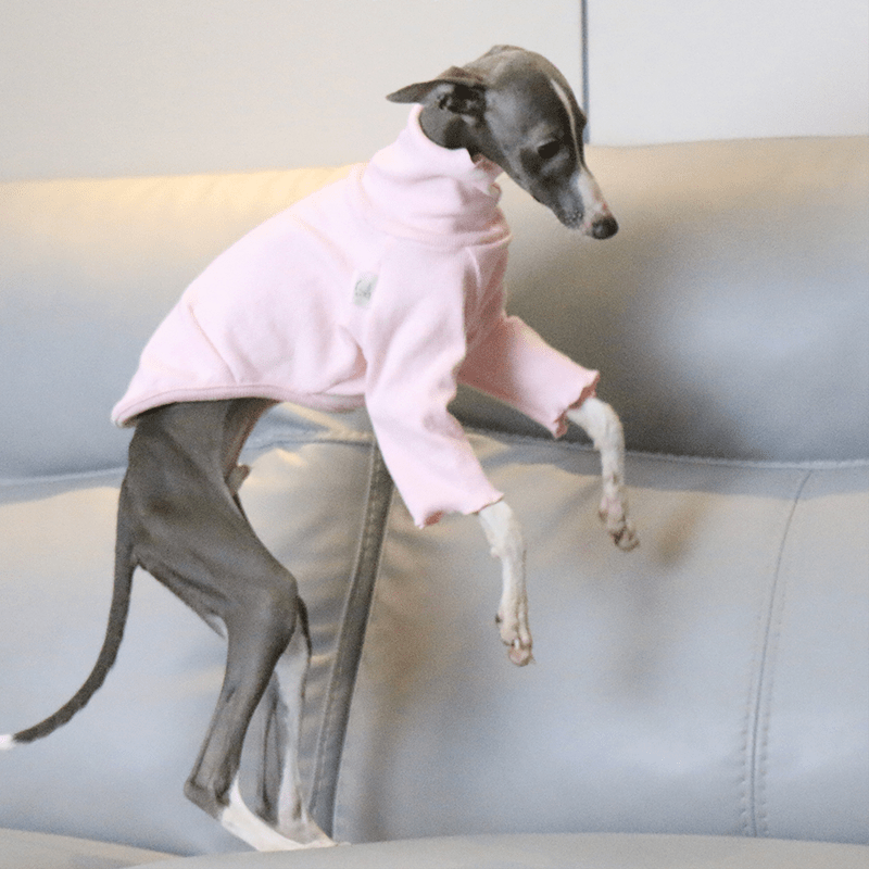 Warm Italian Greyhound Underlayer Shirts