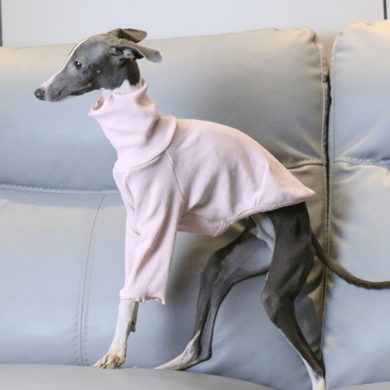 Warm Italian Greyhound Underlayer Shirts