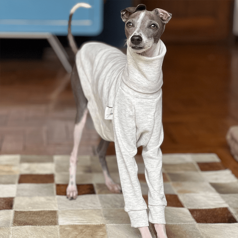 Soft Touch Italian Greyhound Underlayer Shirts