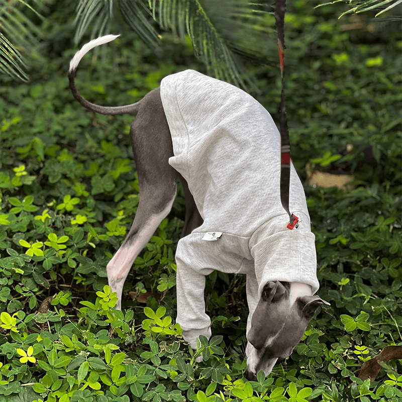 Soft Touch Italian Greyhound Underlayer Shirts
