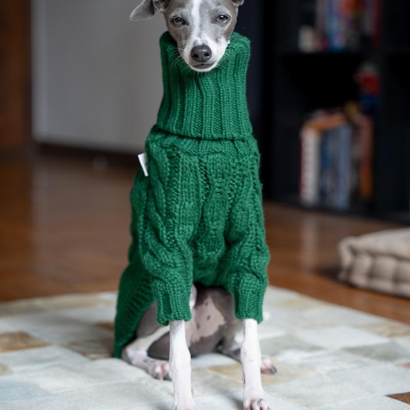 Warm Italian Greyhound Knitted Sweater