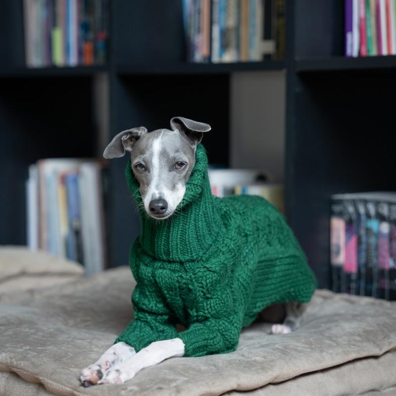 Warm Italian Greyhound Knitted Sweater