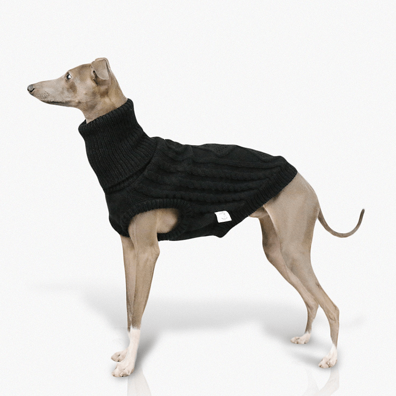 Warm Italian Greyhound Dog Sweater