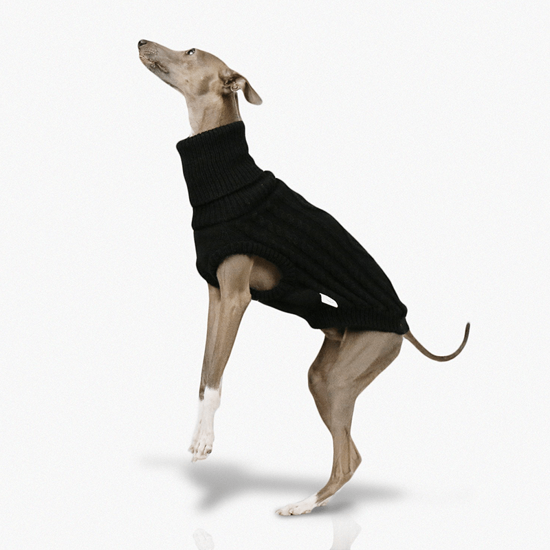 Warm Italian Greyhound Dog Sweater