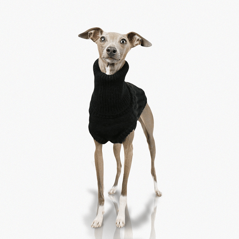 Warm Italian Greyhound Dog Sweater