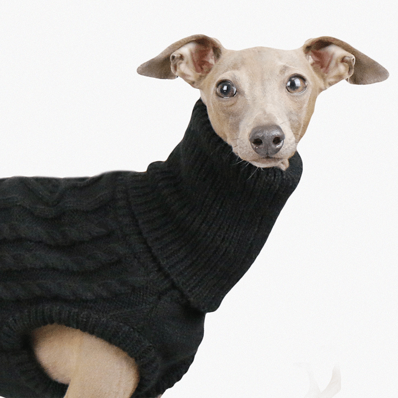 Warm Italian Greyhound Dog Sweater