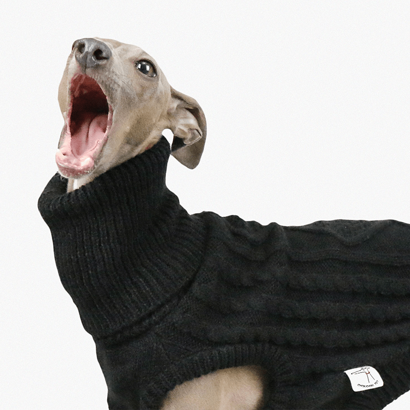 Warm Italian Greyhound Dog Sweater