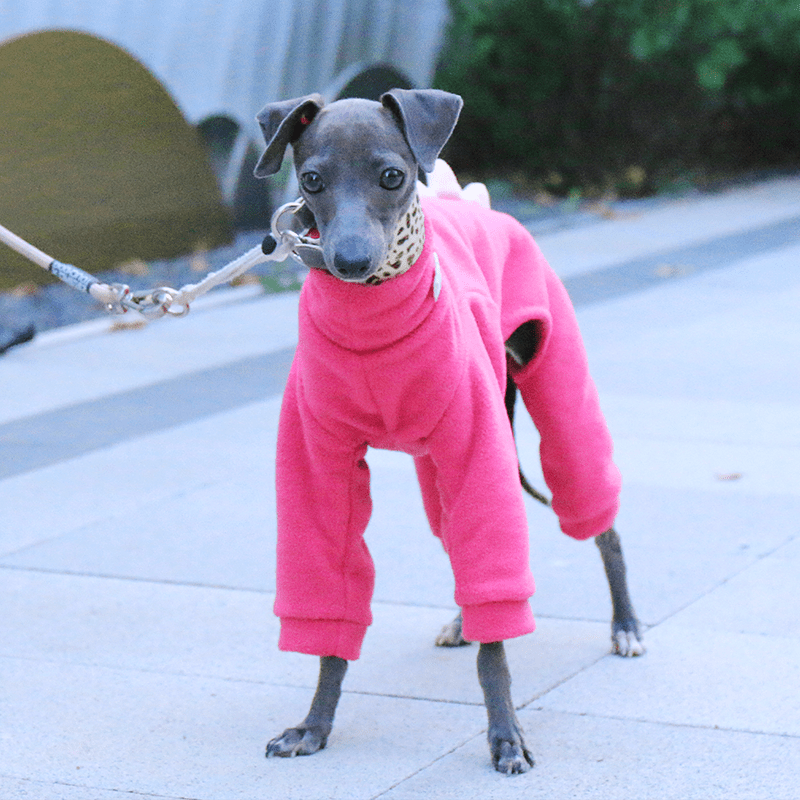 Warm Fleece Italian Greyhound Onesies
