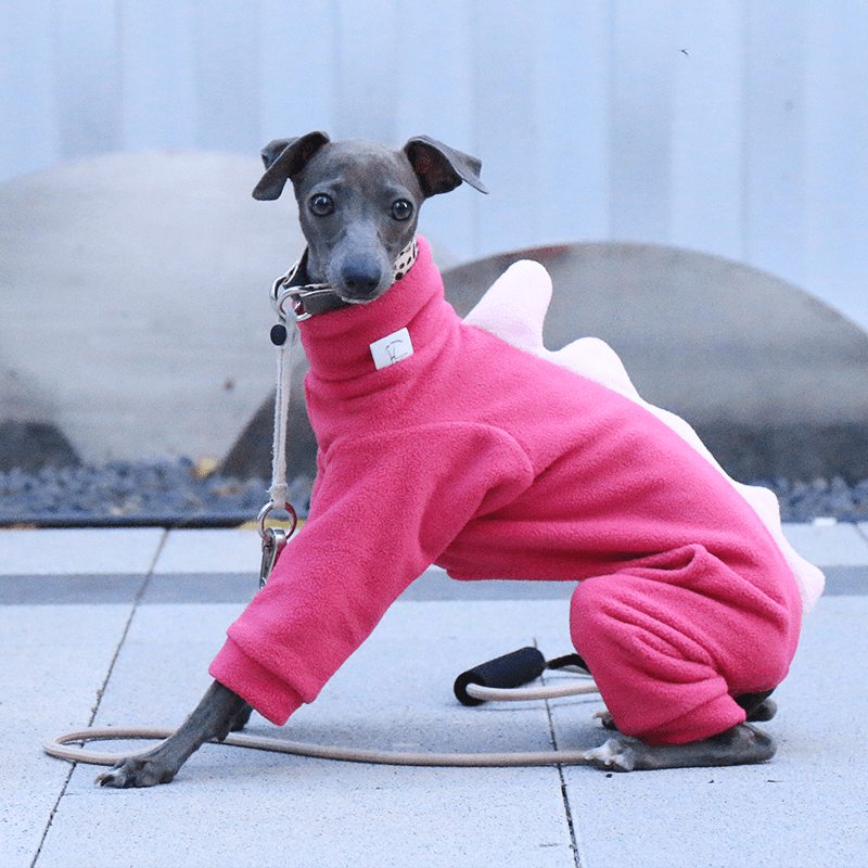 Warm Fleece Italian Greyhound Onesies