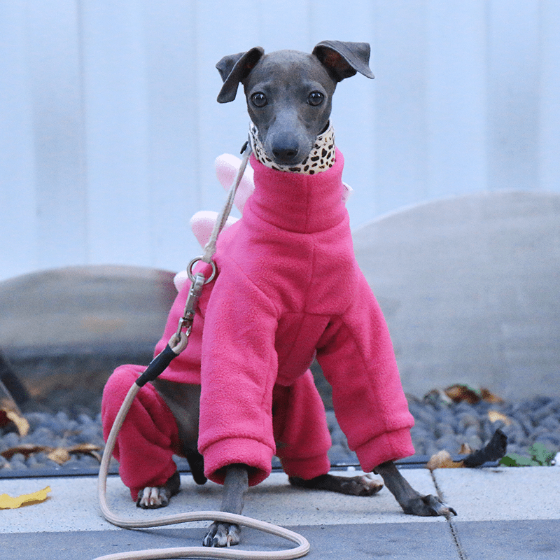 Warm Fleece Italian Greyhound Onesies