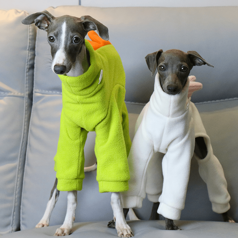 Warm Italian Greyhound Dog Onesie