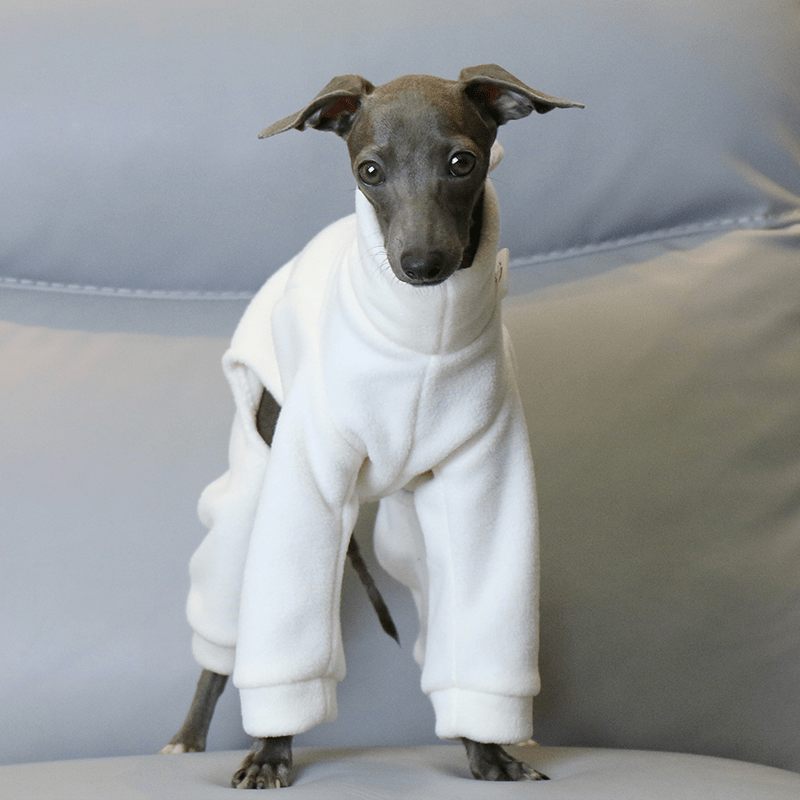 Warm Italian Greyhound Dog Onesie