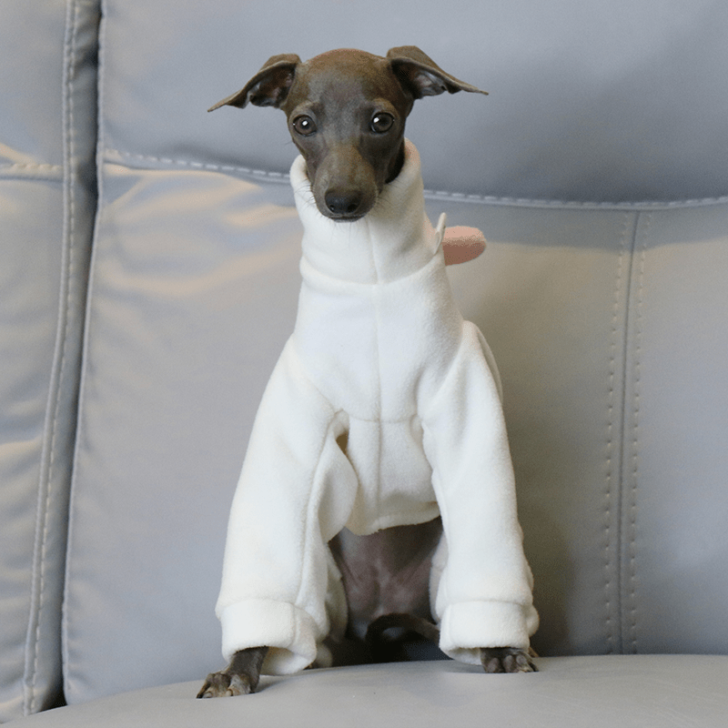 Warm Italian Greyhound Dog Onesie