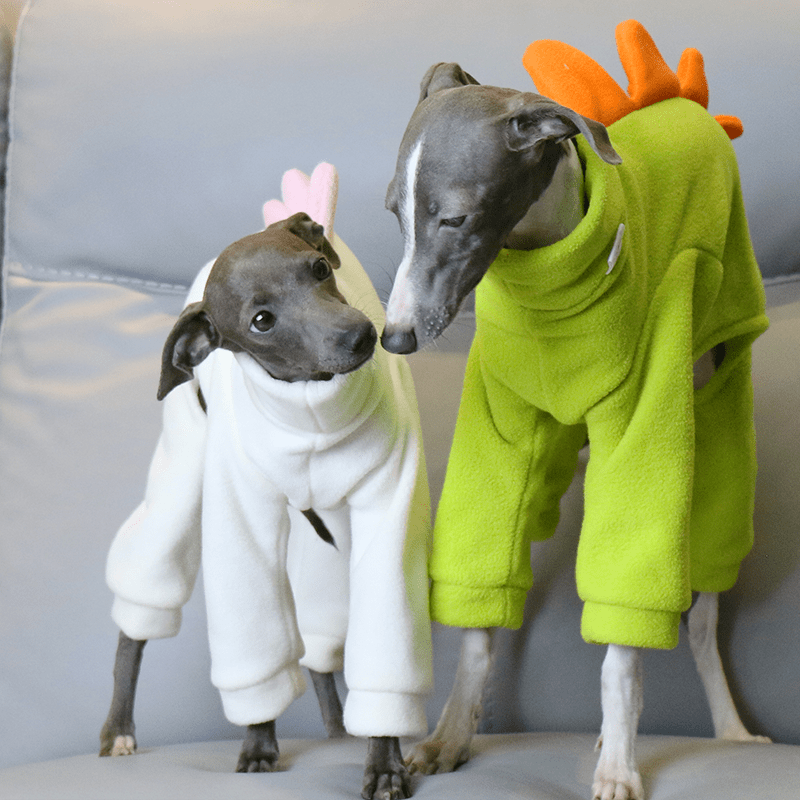 Warm Italian Greyhound Dog Onesie