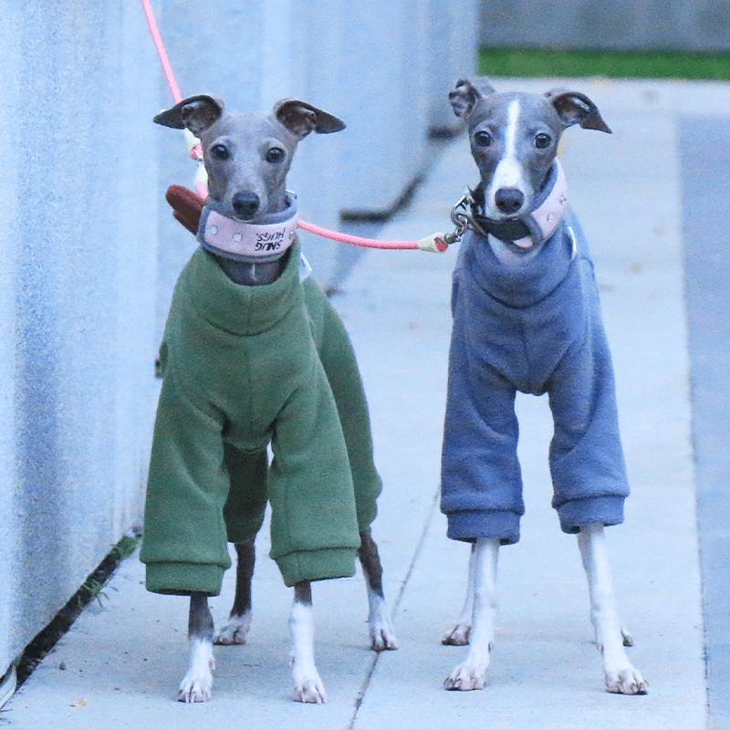Warm Italian Greyhound Dog Onesies