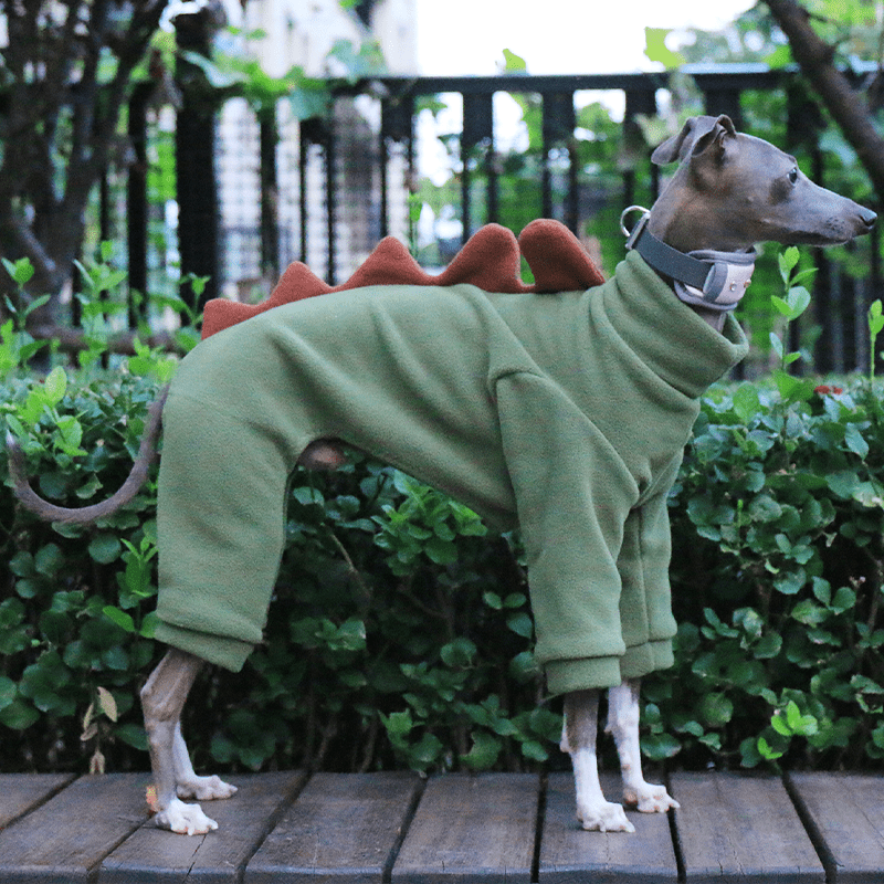 Warm Italian Greyhound Dog Onesies