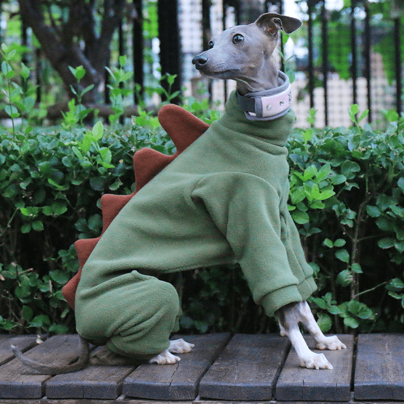 Warm Italian Greyhound Dog Onesies