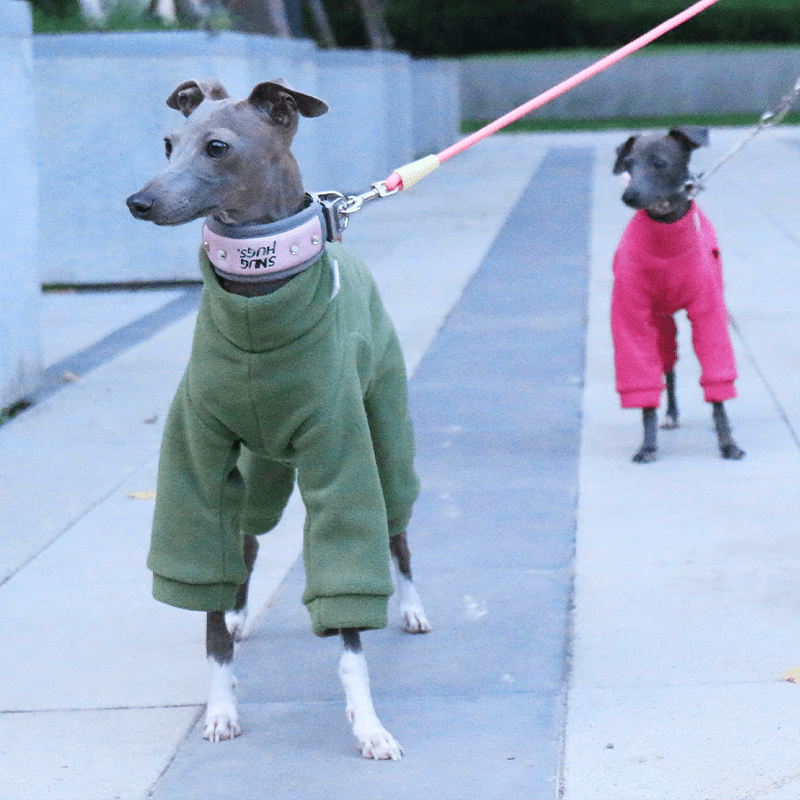 Warm Italian Greyhound Dog Onesies