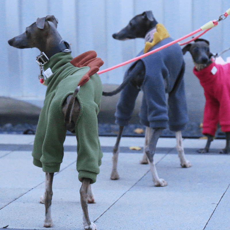 Warm Italian Greyhound Dog Onesies