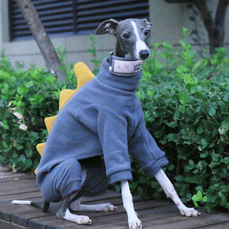 Warm Double Fleece Italian Greyhound Onesies