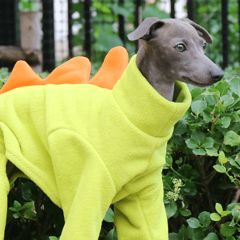Cozy Fleece Italian Greyhound Dog Onesies