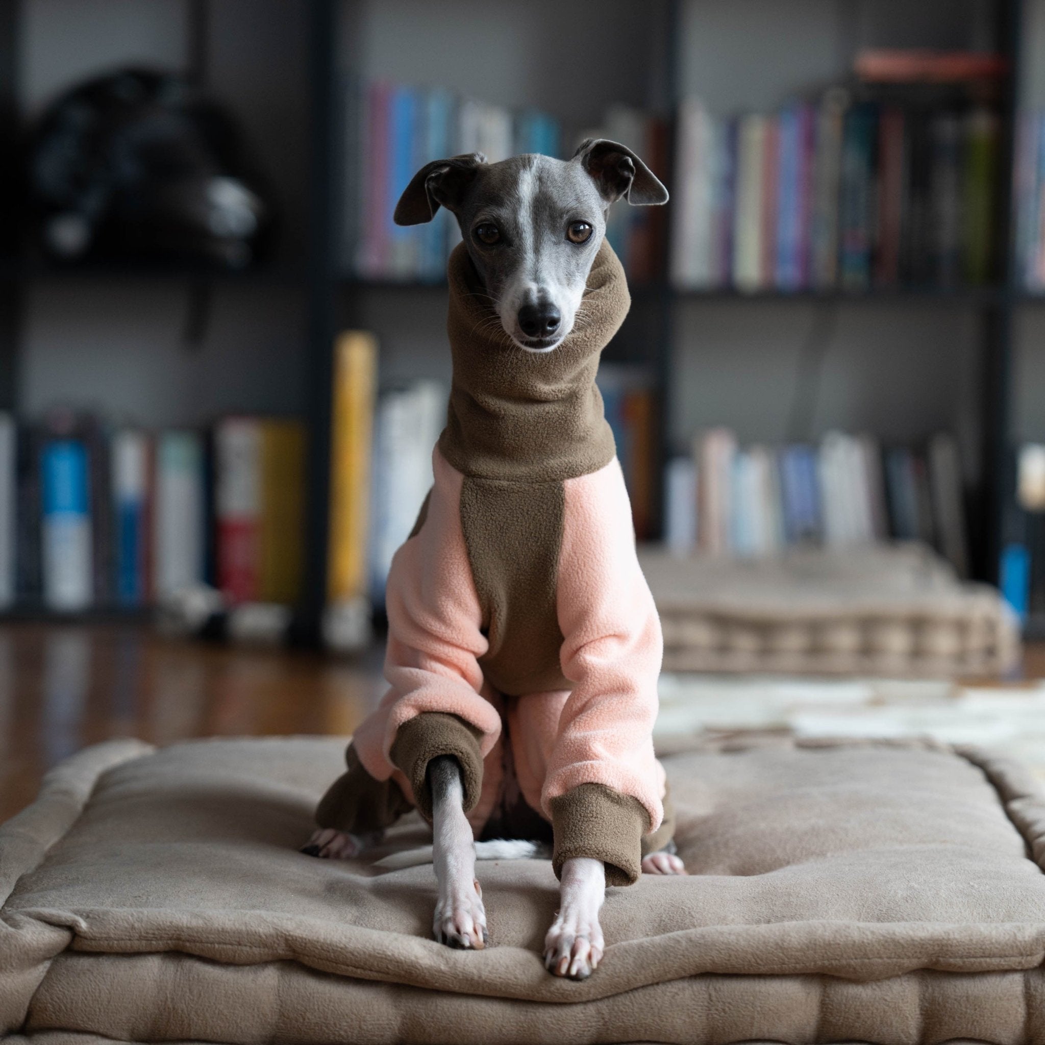 Warm Double Fleece Italian Greyhound Onesies