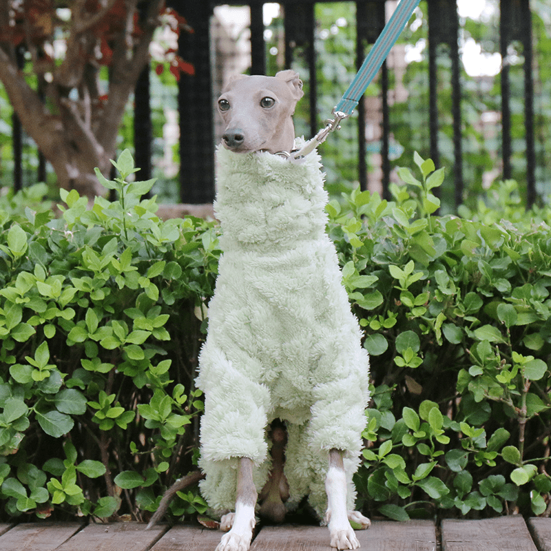 Double Fleece Italian Greyhound Dog Onesies