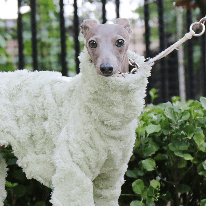 Double Fleece Italian Greyhound Dog Onesies