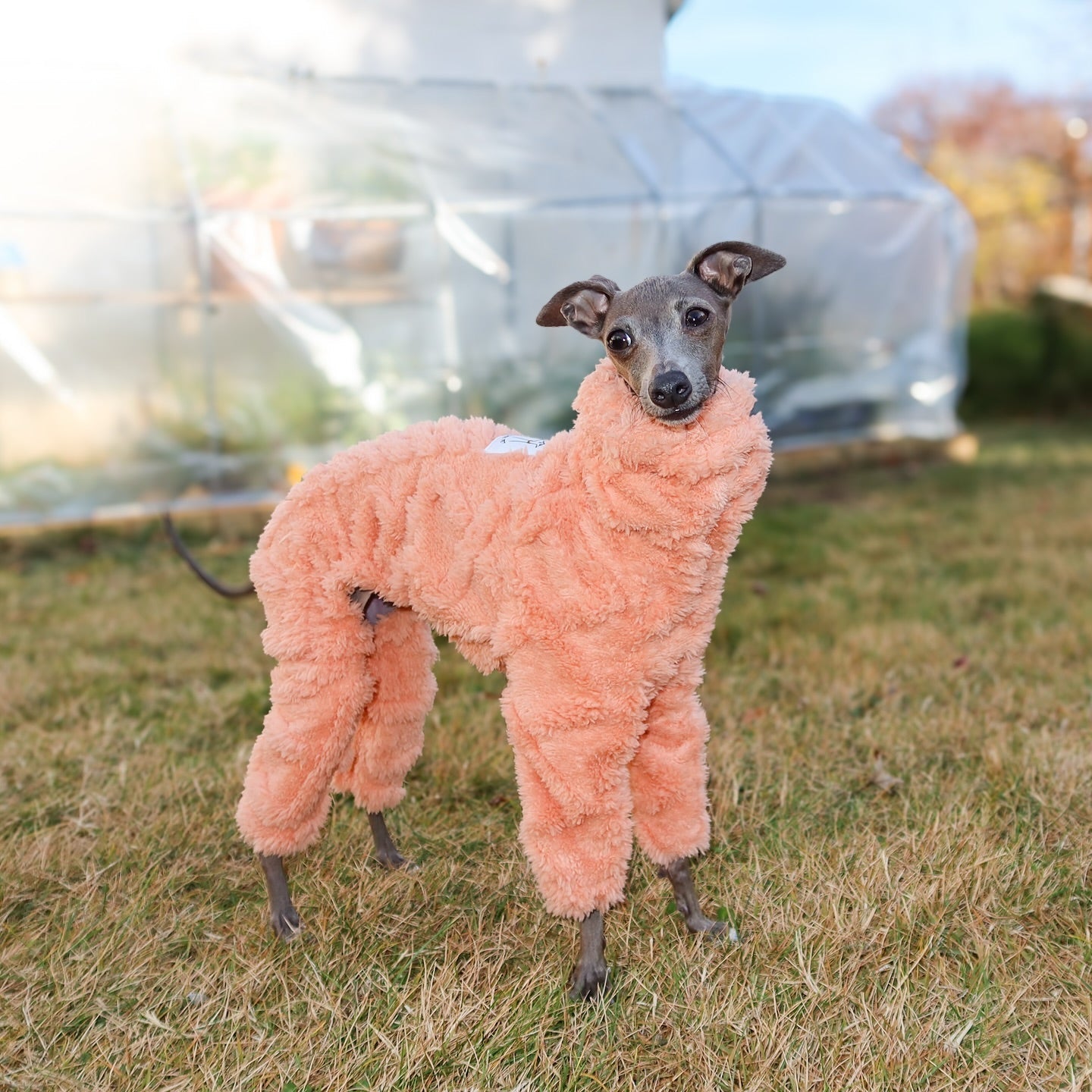 Warm Double Fleece Italian Greyhound Onesies