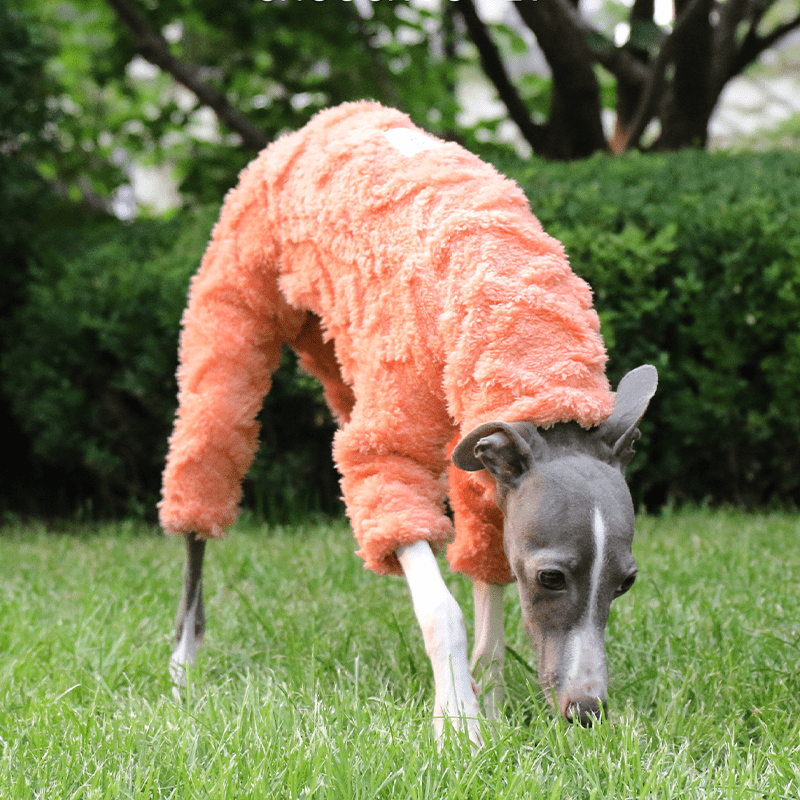 Warm Double Fleece Italian Greyhound Onesies