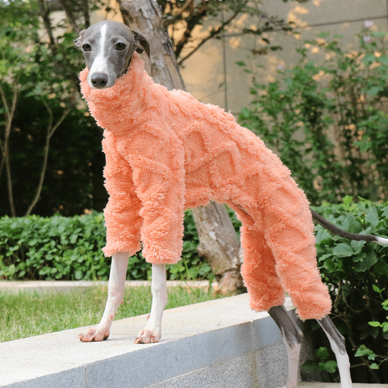 Warm Double Fleece Italian Greyhound Onesies