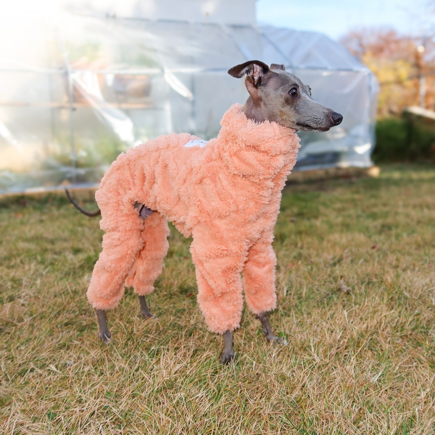Warm Double Fleece Italian Greyhound Onesies