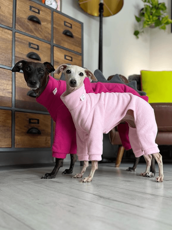 Warm Fleece Italian Greyhound Onesies