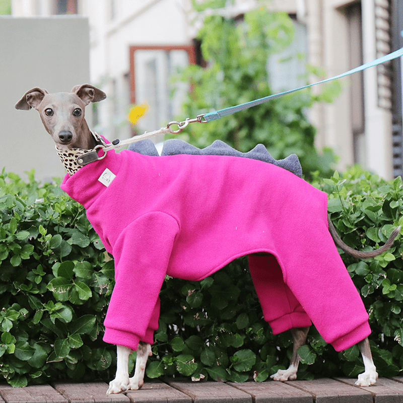 Warm Fleece Italian Greyhound Dog Onesie
