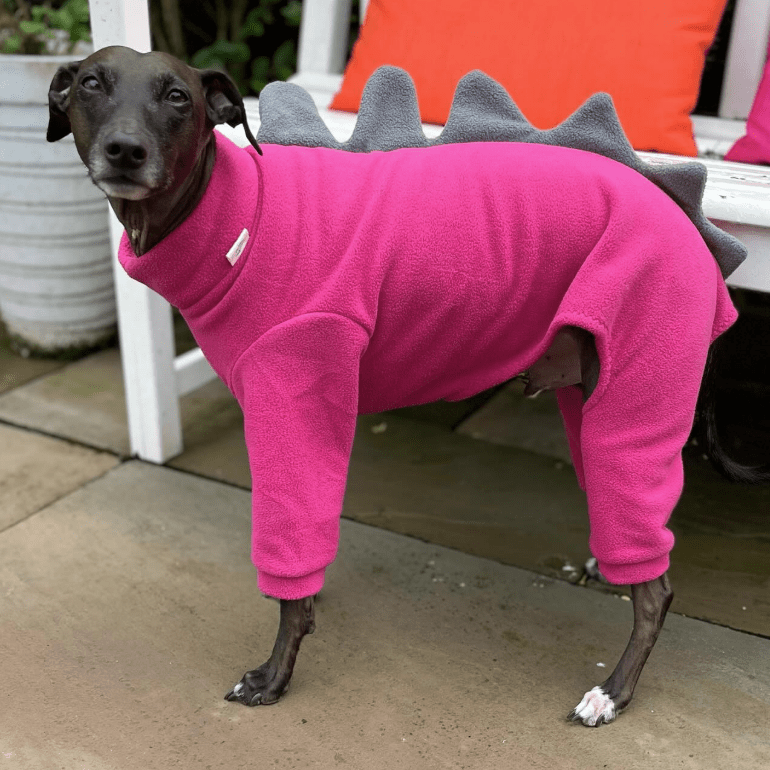 Warm Fleece Italian Greyhound Onesies
