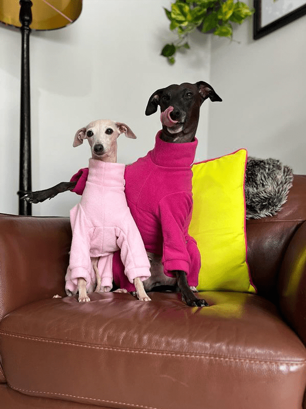 Warm Fleece Italian Greyhound Onesies