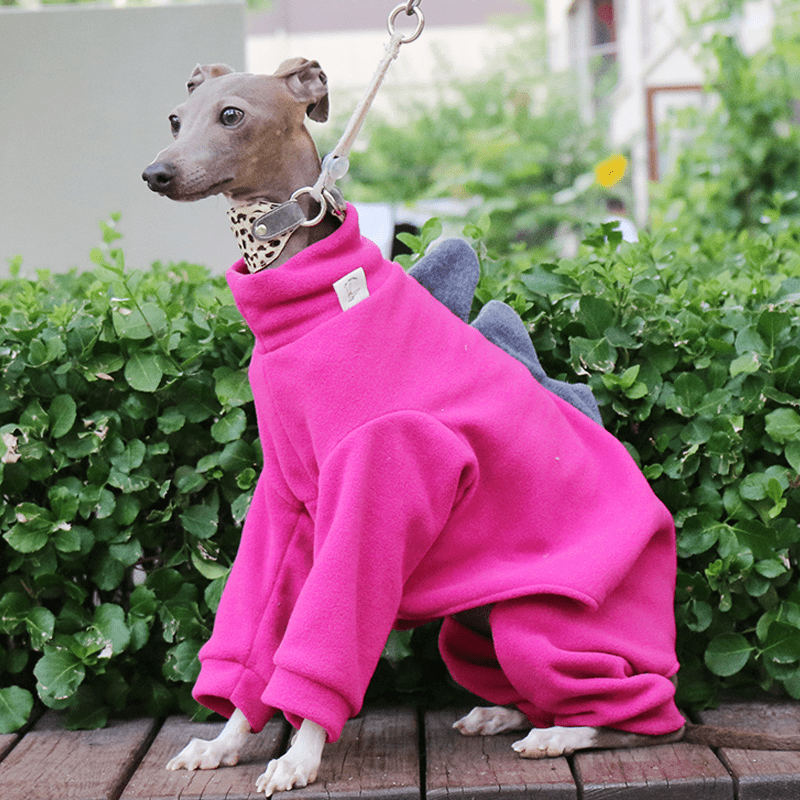 Warm Fleece Italian Greyhound Dog Onesie
