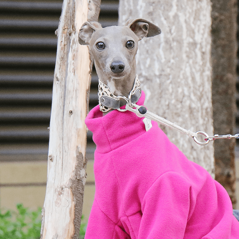 Warm Fleece Italian Greyhound Onesies