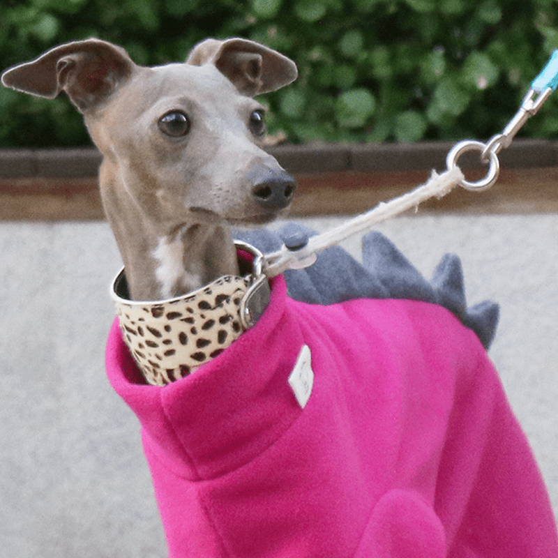 Warm Fleece Italian Greyhound Dog Onesie