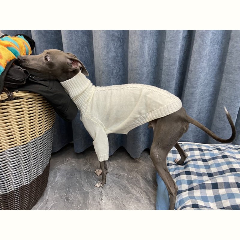 Warm Knitted Italian Greyhound Sweater