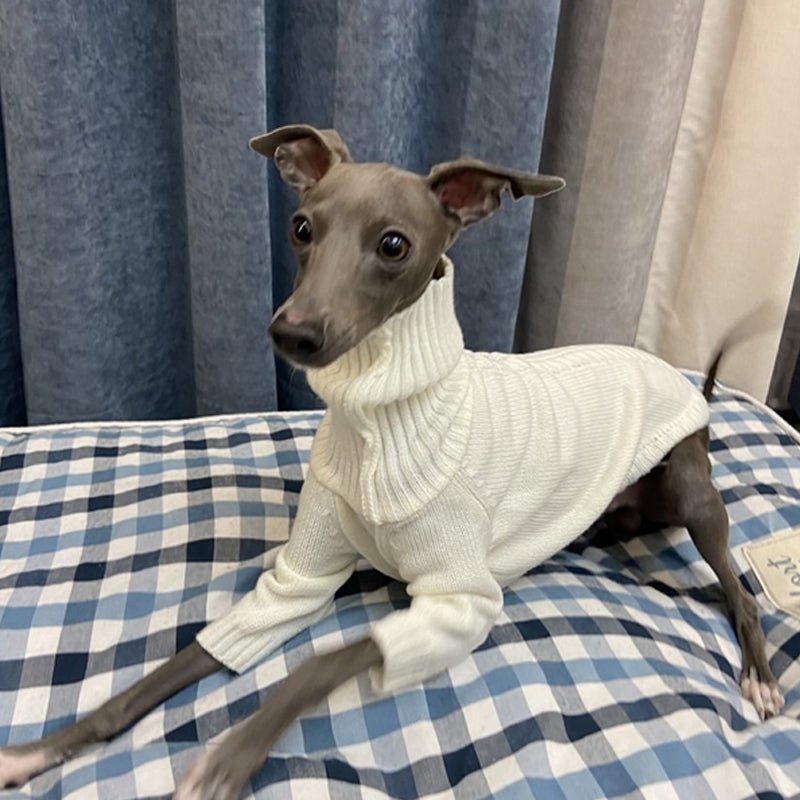 Warm Knitted Italian Greyhound Sweater