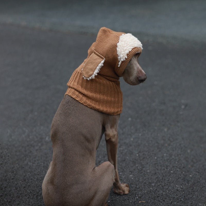 Warm Knitted Dog Ear Protection Hat